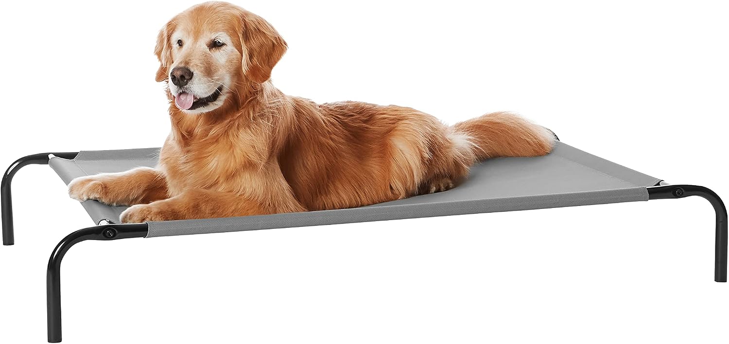 Gray elevated dog cot with black metal legs and a golden retriever lying on it