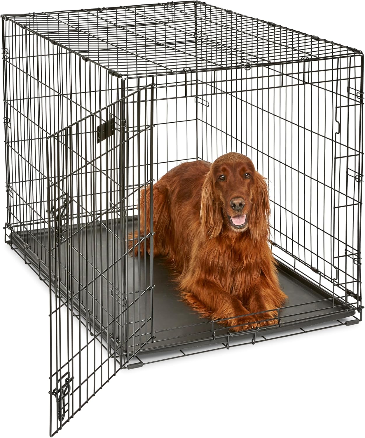 Black wire dog crate with the front door open and a reddish long-haired dog lying on a black plastic tray